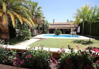 466704-Vorschaubild3