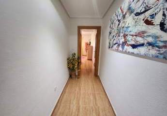 496156-Vorschaubild2