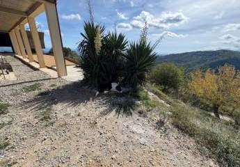 452720-Vorschaubild2