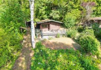 452809-Vorschaubild2