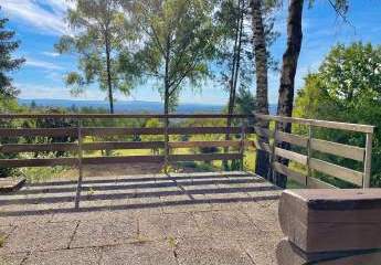 482035-Vorschaubild2