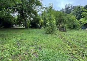 458781-Vorschaubild2