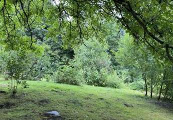 458781-Vorschaubild3