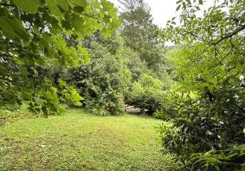 458781-Vorschaubild4