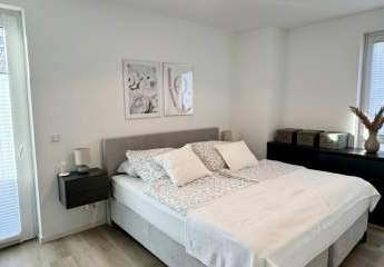 469898-Vorschaubild3