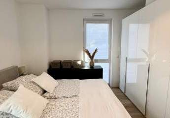 469898-Vorschaubild4