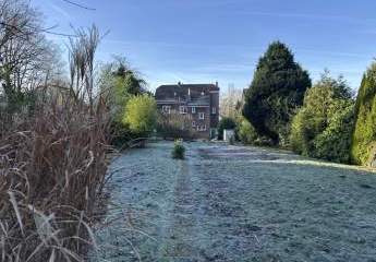 474443-Vorschaubild4