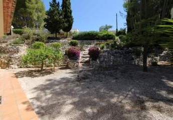 460544-Vorschaubild2