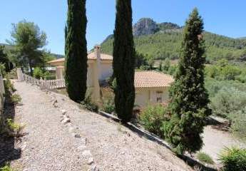 460544-Vorschaubild4