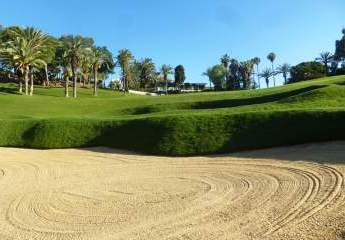 460645-Vorschaubild4