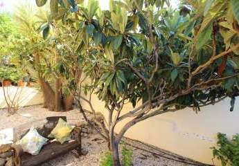 465975-Vorschaubild3