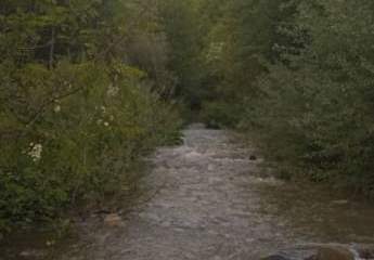 453463-Vorschaubild2