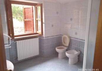 453463-Vorschaubild3