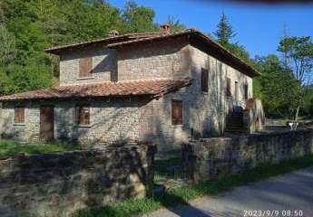 453463-Vorschaubild4