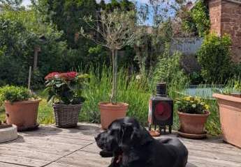 Zweifamilienhaus in Langenselbold - ohne Makler