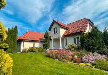 453648-Vorschaubild2