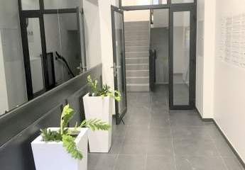 453649-Vorschaubild3