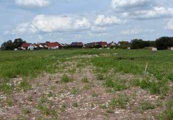 453653-Vorschaubild4