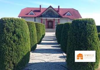 453665-Vorschaubild2