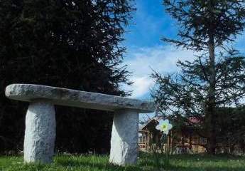 453671-Vorschaubild4