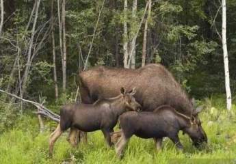 453680-Vorschaubild2