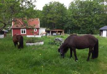 453680-Vorschaubild4