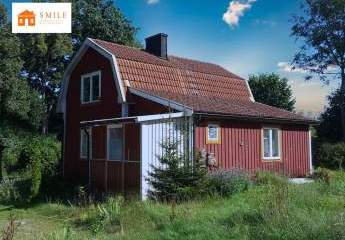 453681-Vorschaubild3