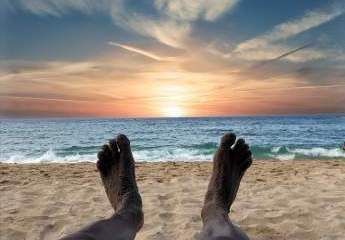 453942-Vorschaubild4