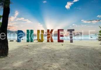 453945-Vorschaubild4