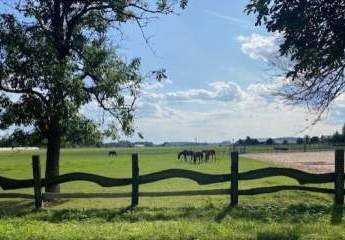 453951-Vorschaubild3