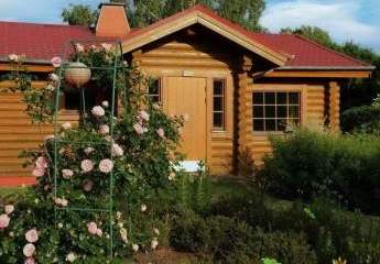 454215-Vorschaubild4