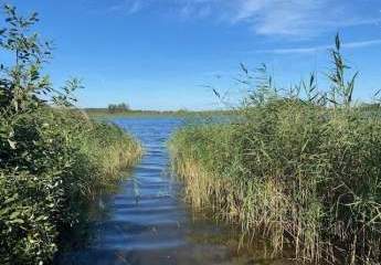 456067-Vorschaubild4