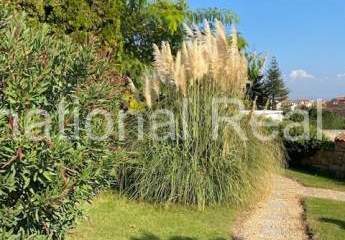 456083-Vorschaubild4