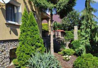 453667-Vorschaubild4