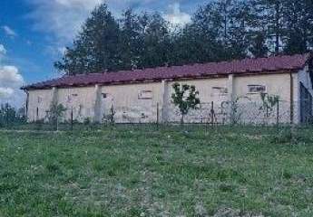 453662-Vorschaubild2