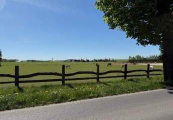 453662-Vorschaubild3