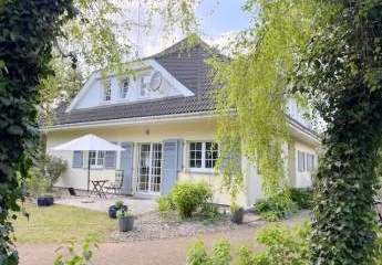 456432-Vorschaubild4