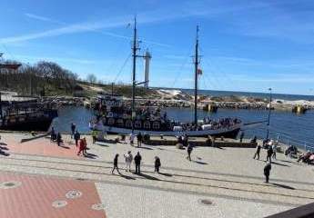 453666-Vorschaubild3