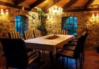 458671-Vorschaubild2