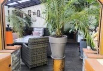 458671-Vorschaubild4