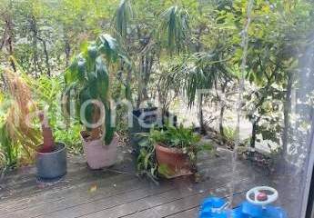 463887-Vorschaubild2