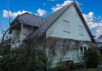 464813-Vorschaubild4