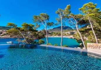 453759-Vorschaubild3