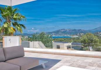 453783-Vorschaubild2