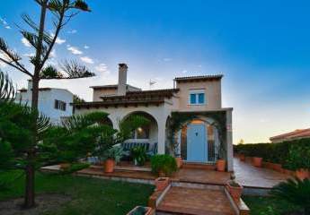 453785-Vorschaubild3