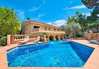 453786-Vorschaubild4