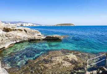 453790-Vorschaubild4