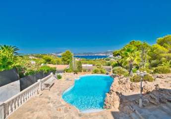 453792-Vorschaubild2