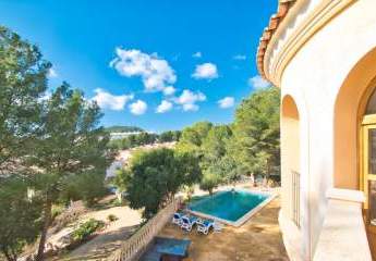 453797-Vorschaubild4