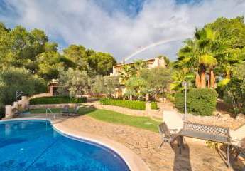 453799-Vorschaubild2